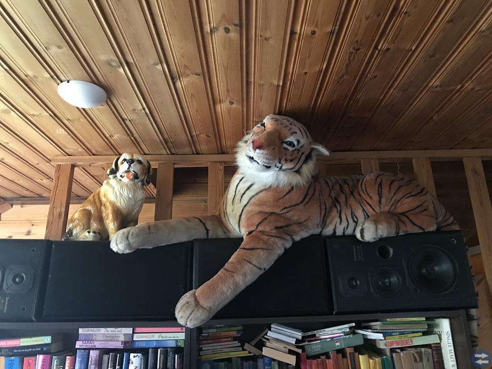 Mkt stor mjukis-tiger! samt stor porslinshund