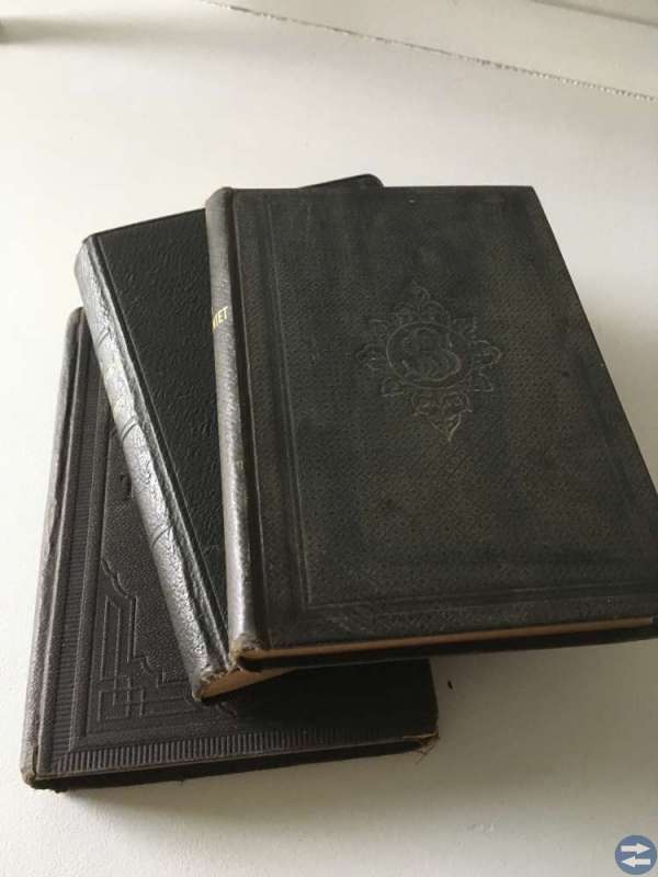 Nya testamentet 3st