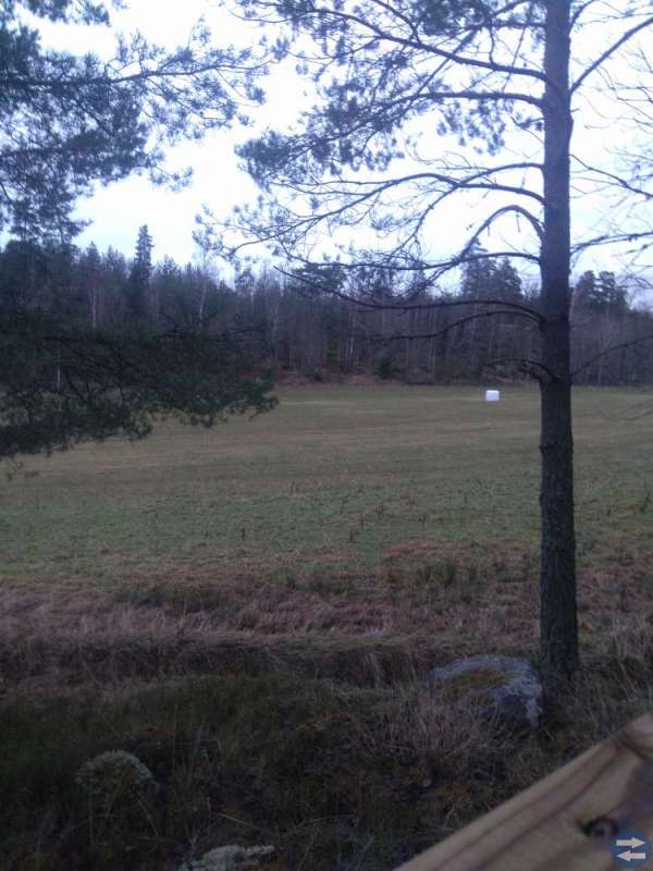 Jaktmark/arrende sökes även skyddsjakt