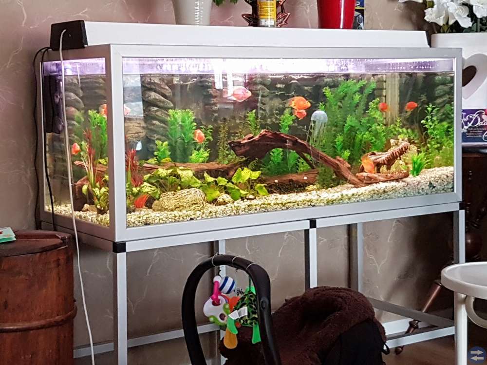 Akvarium