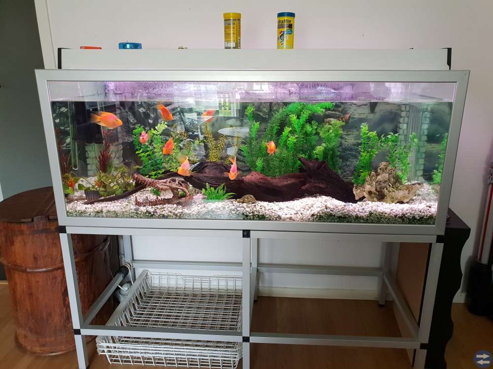 Akvarium