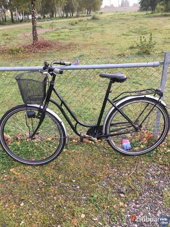 Dam cyckel