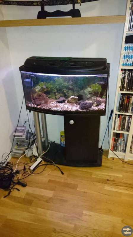 Akvarium 120 liter.