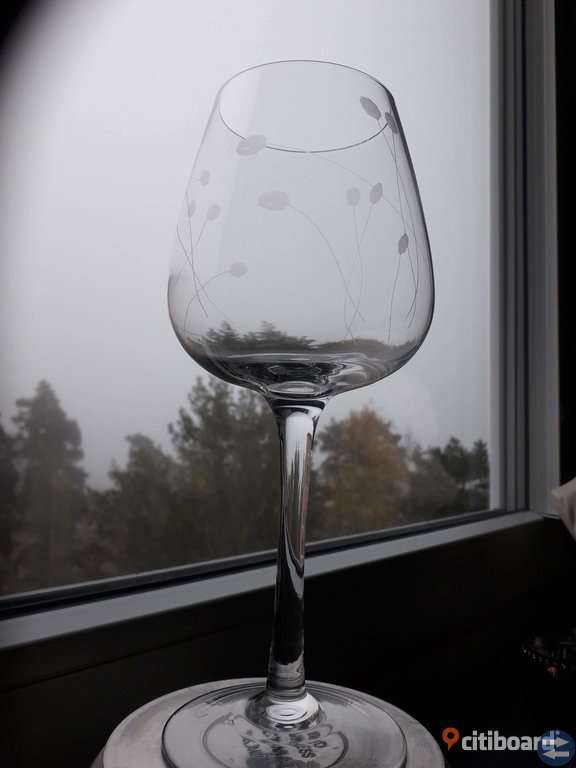Stora vin glas