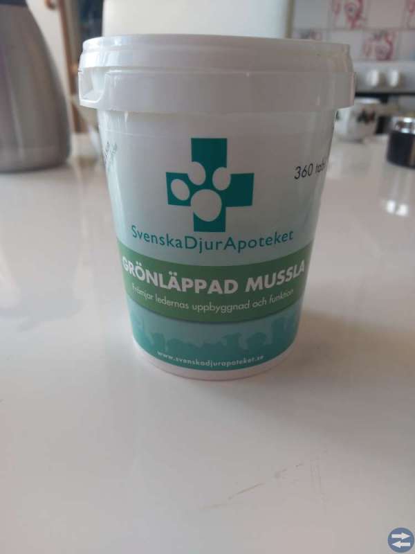 Grönläppad Mussla