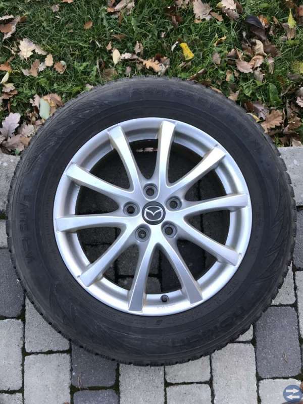 Vinterdäck 17”