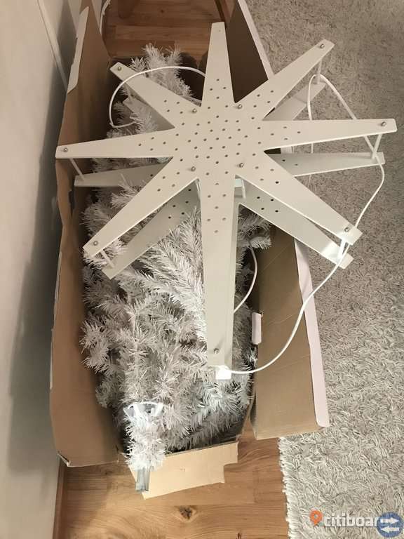Julgran och julstjärna