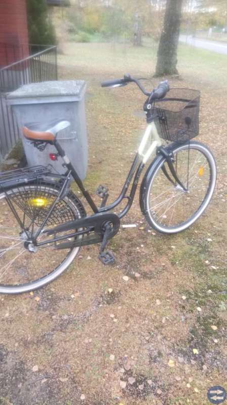 Fin damcykel