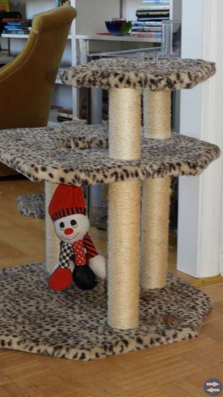 Kattställning
