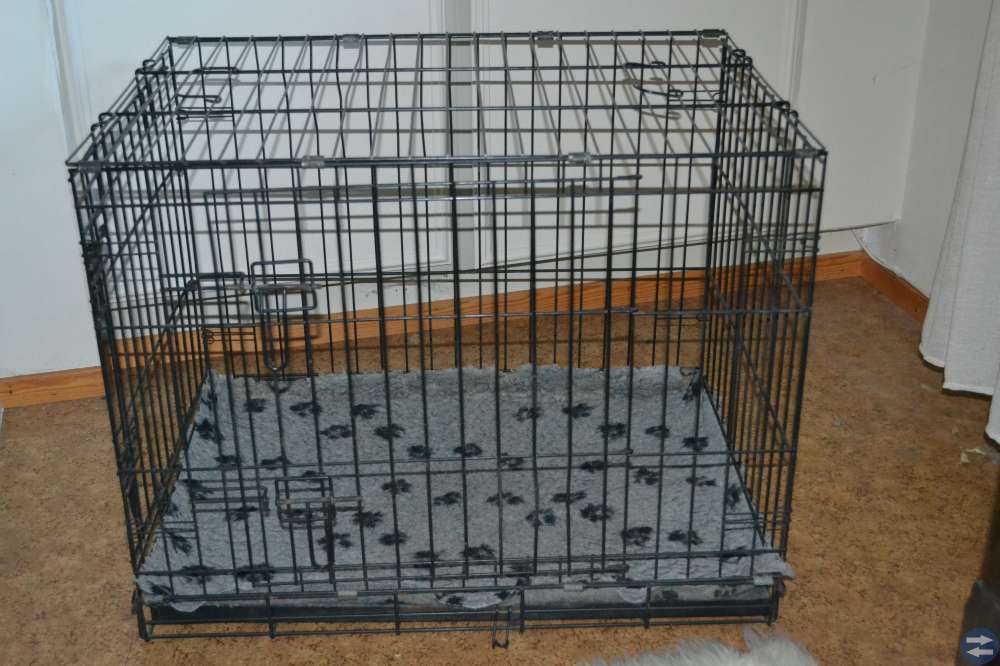 Hundbur