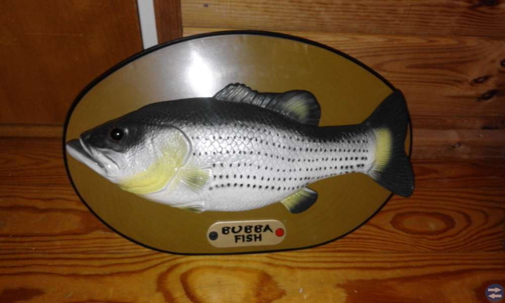 BUBBA FISK!