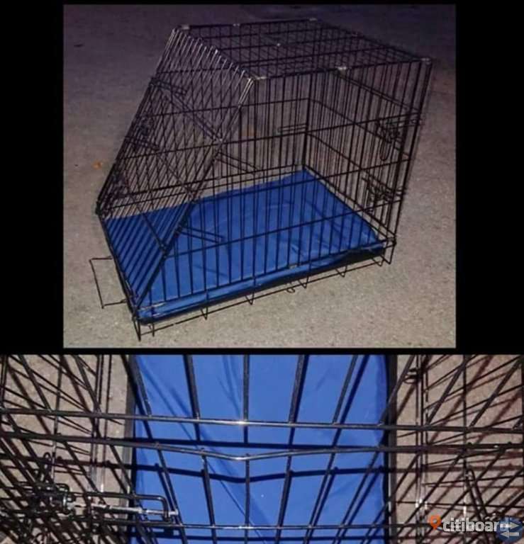Hundbur
