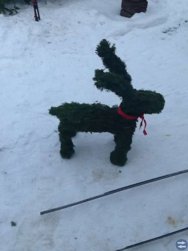 Julbockar