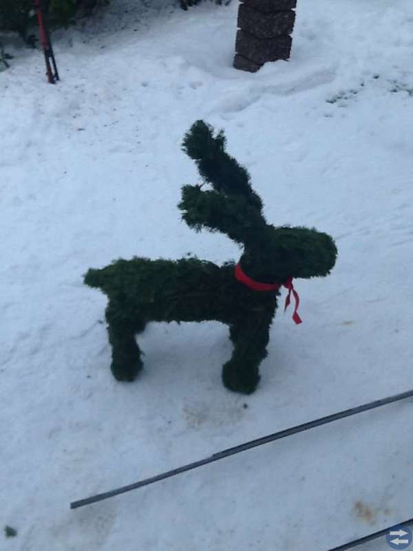 Julbockar