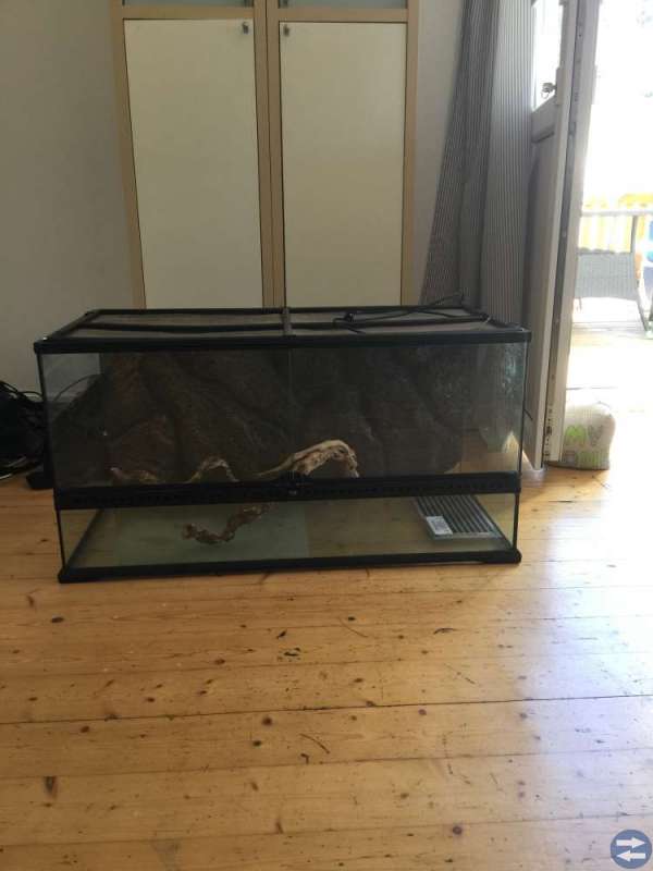 Exoterra terrarium