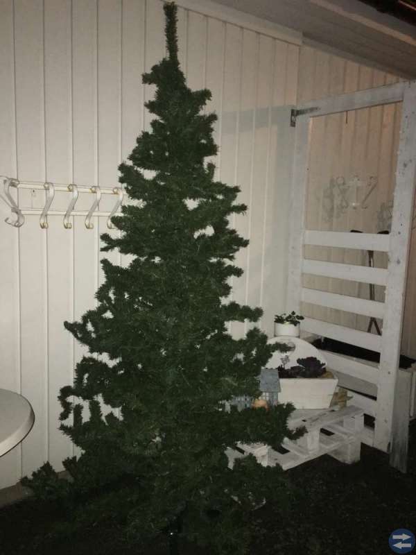 Julgran