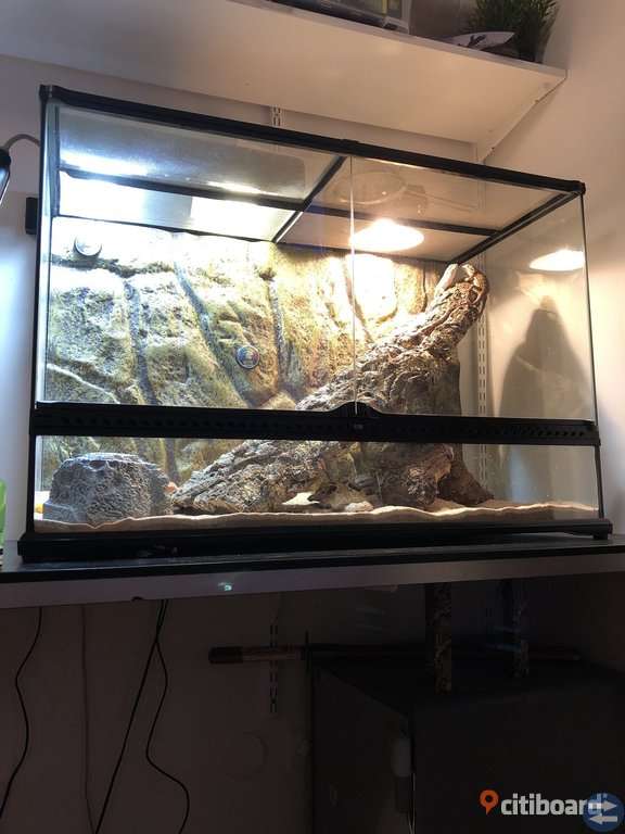 Terrarium