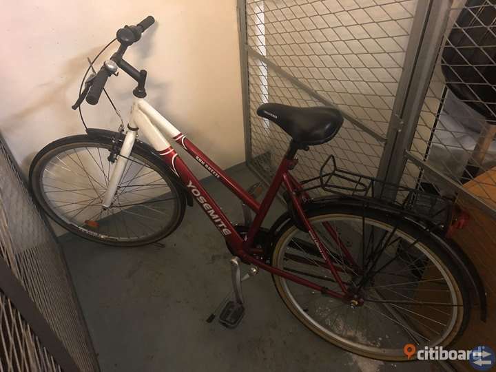 Fin cykel 24