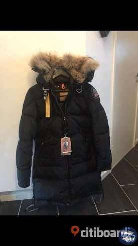 Parajumper Longbear strl S