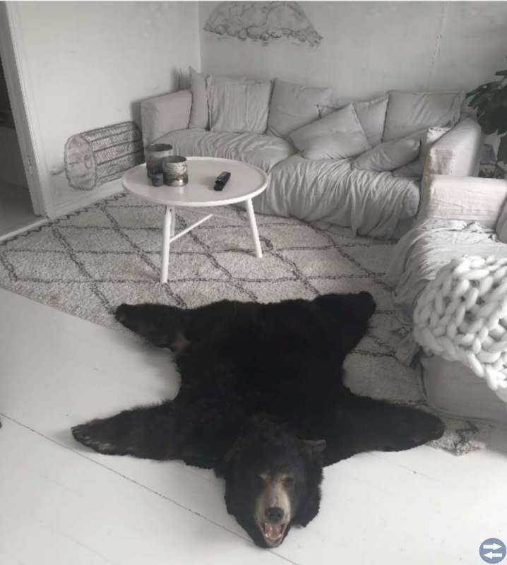 ÄKTA Björn Skinn matta original säljes
