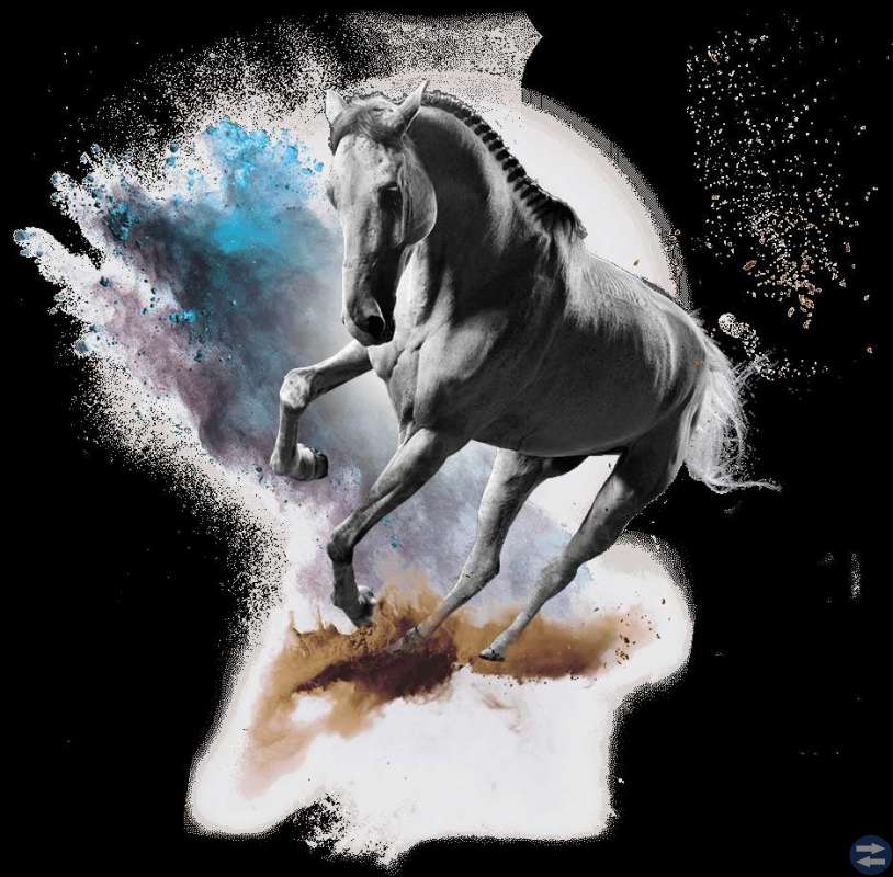 Gothenburg Horse Show premiumbiljett