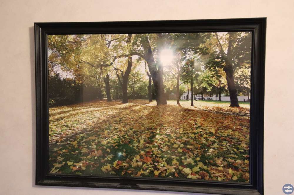 Tavla 50 x 70 cm
