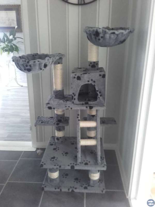 Kattklösträd