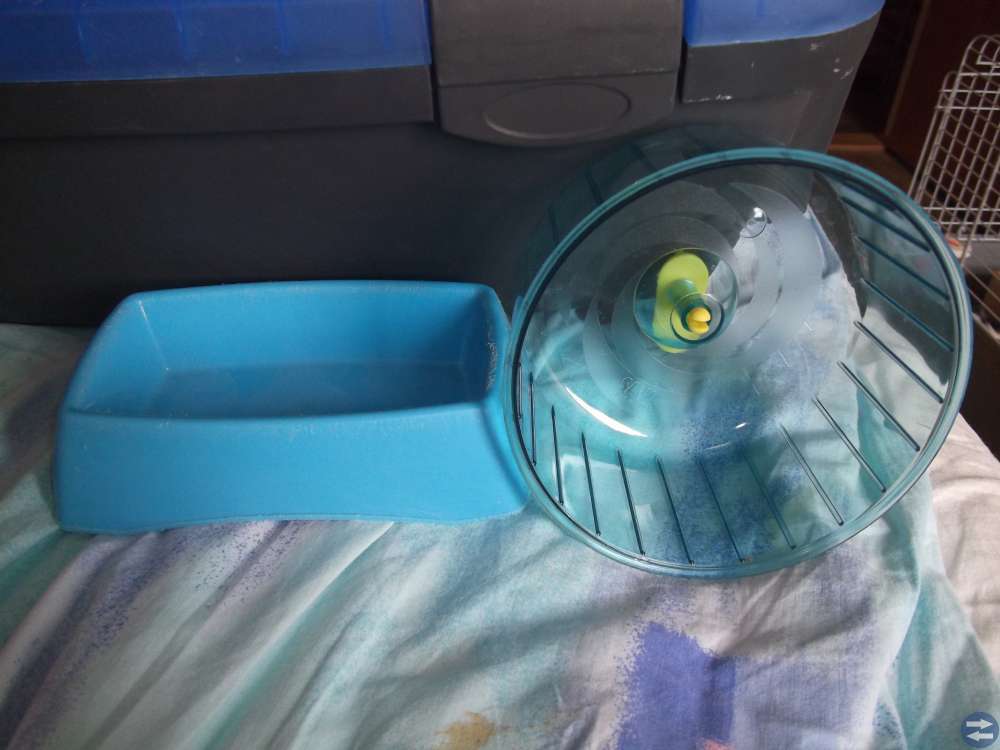 Kanin skål, Hamsterhjul