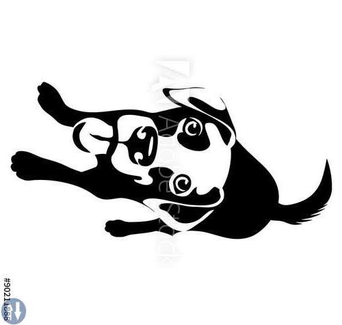 Hund