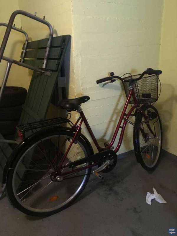 Damcykel
