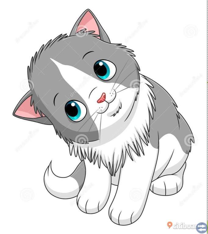 Söker kattunge!