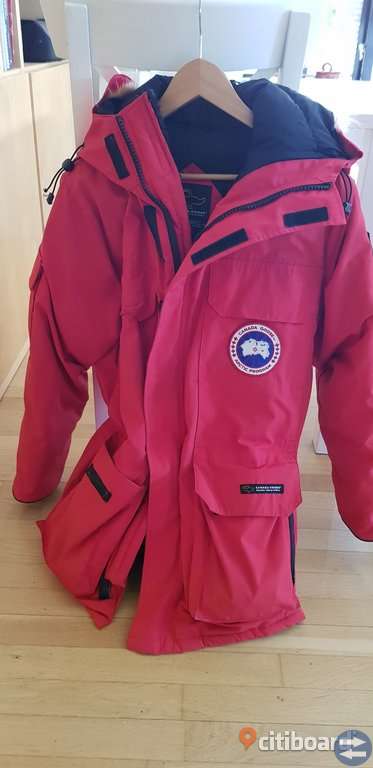 Canada Goose