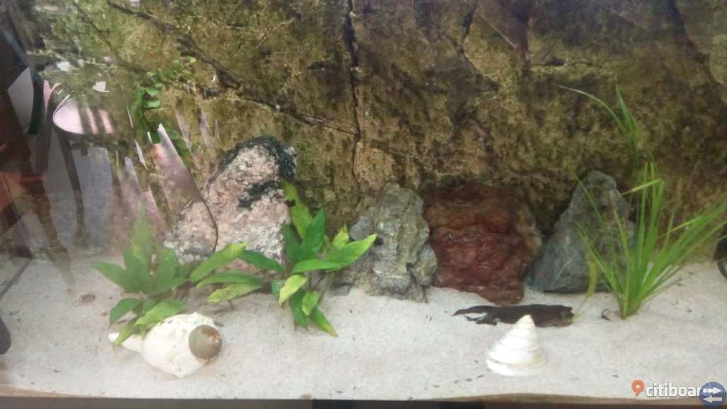 Aqvarium 250 l