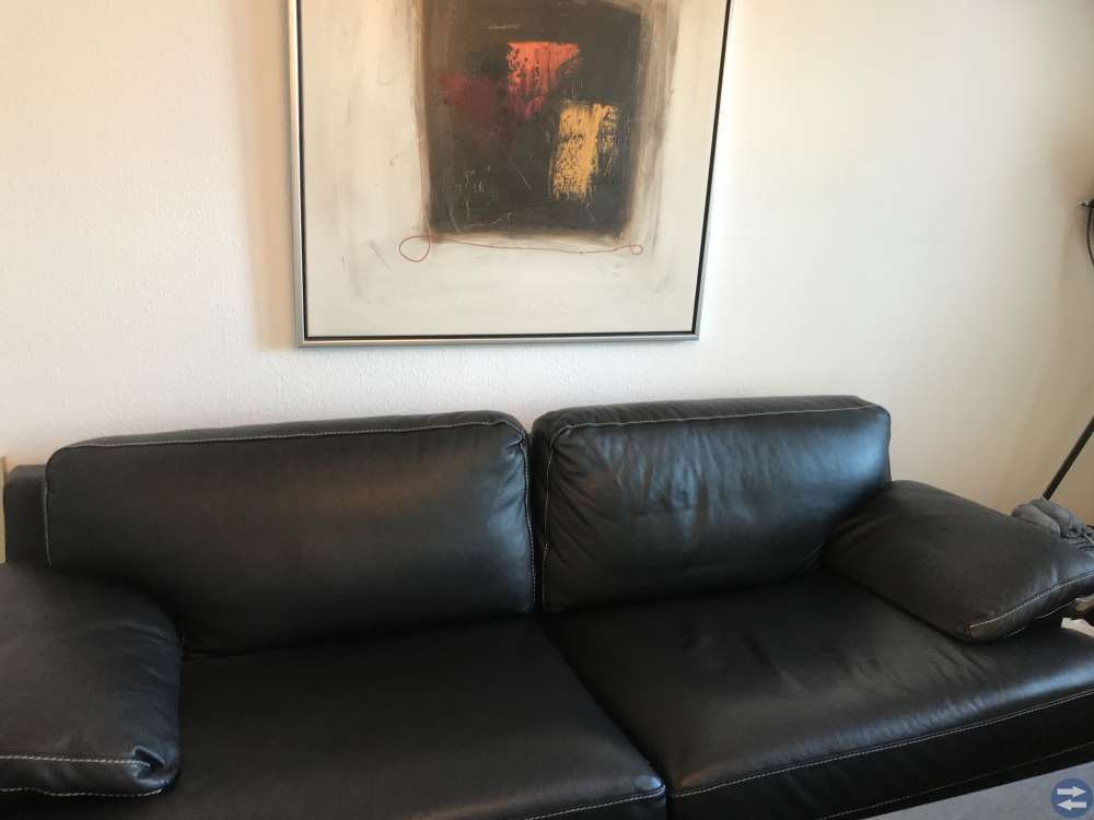 Två fina skinsoffor