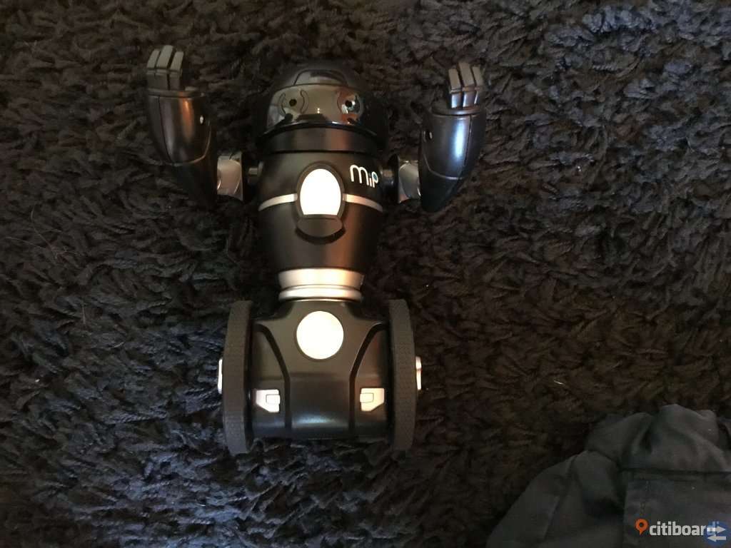 Robot