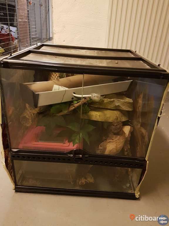 Terrarium