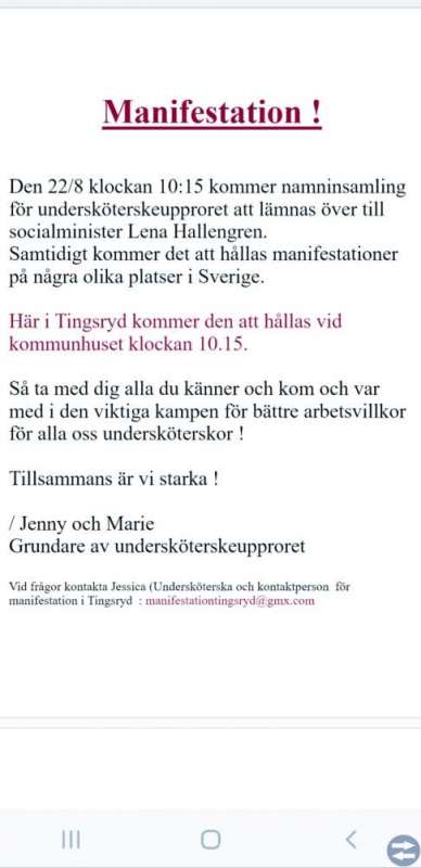 Manifestation i Tingsryd