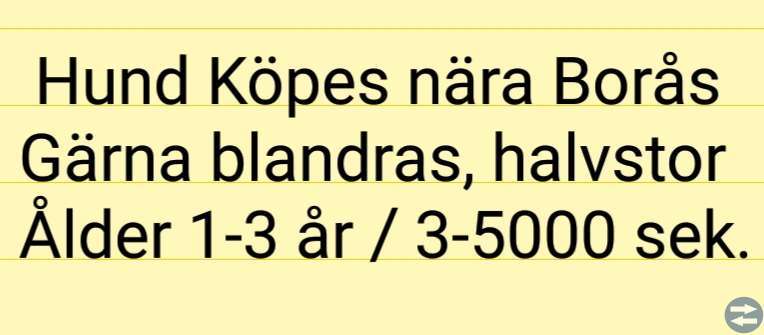 Hund köpes nära Borås