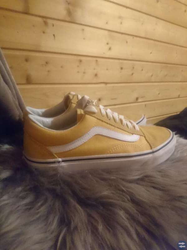 gula vans old skool