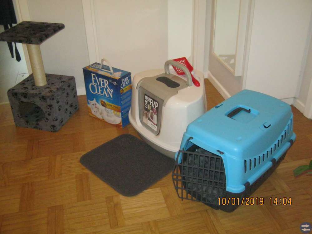 komplett uppsättning kattillbehör. Nästan nytt.