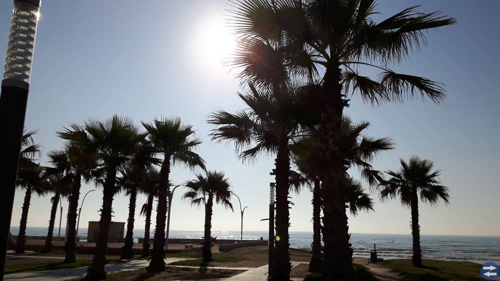 Radhus uthyres i Torrevieja