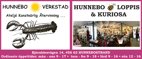 nätdejting bra presentation zen