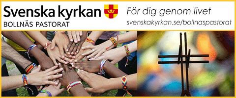 Vinterjacka Bollnästorget.se Annonsera gratis på Vinterjacka Bollnästorget.se Annonsera gratis på