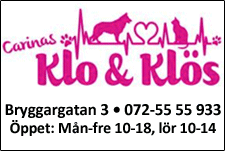 12. Carinas Klo & Klös AB