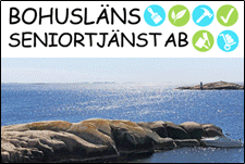 02. Bohusläns Seniortjänst AB