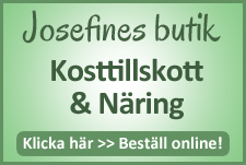 17. Josefine Norlén