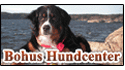 Bohus Hundcenter