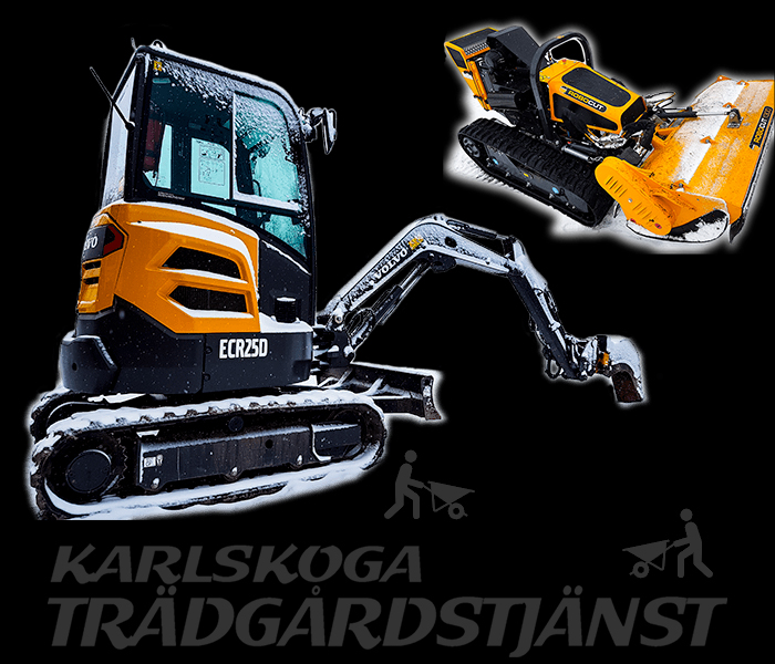 Trädfällning i Karlskoga | Karlskoga Trädgårdstjänst