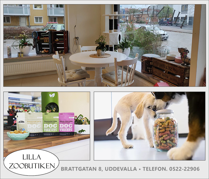 Hundtrim i Uddevalla | LILLA ZOOBUTIKEN