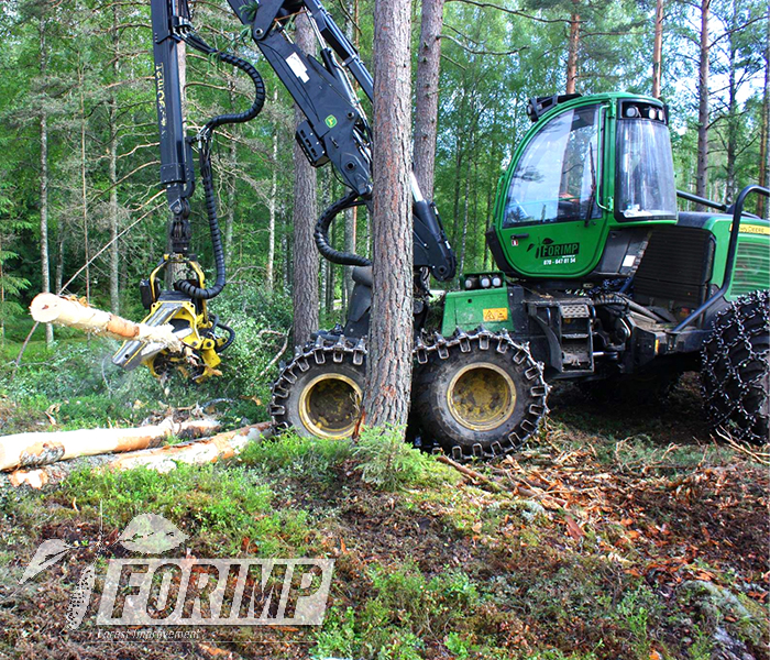 Skogsbruk Arvika | FORIMP AB